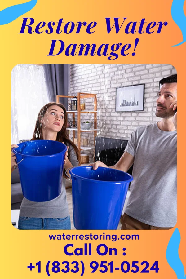 water restoration Solid Damage Recovery Authority Alpha