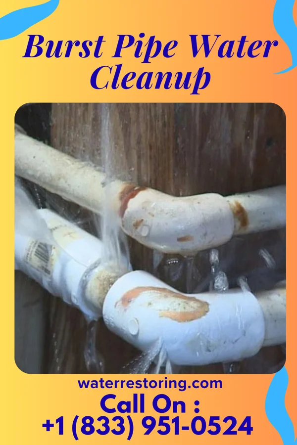 Burst Pipe Water Cleanup in Alpha, NJ