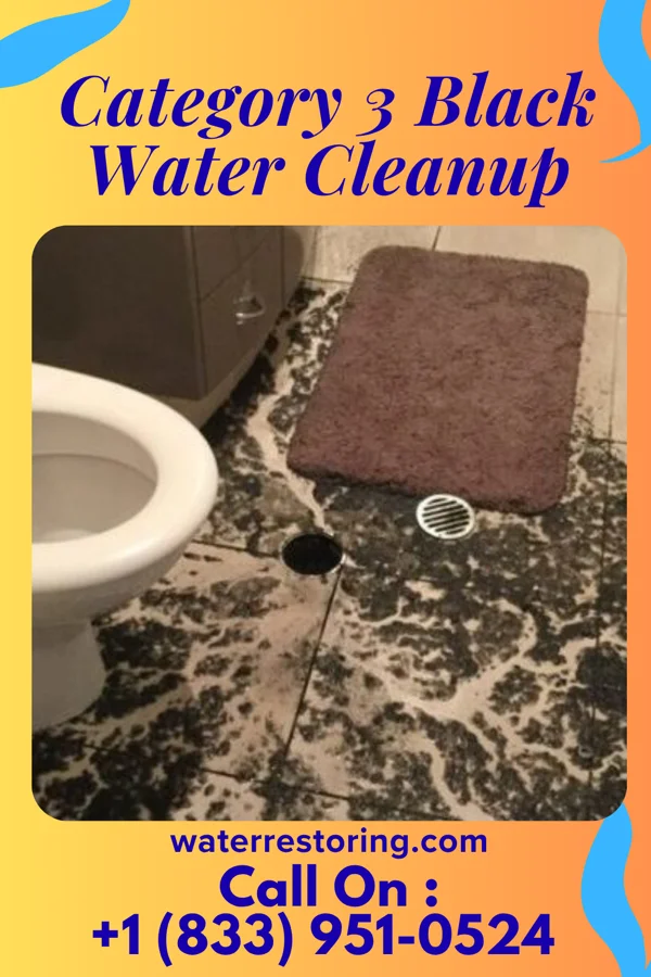 Category 3 Black Water Cleanup in Alpha, NJ