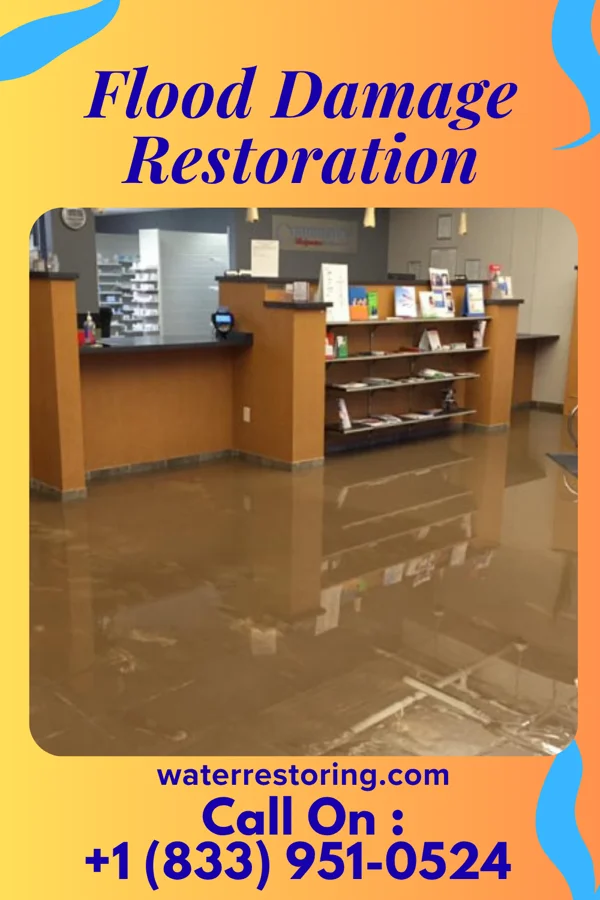 Flood Damage Restoration in Alpha, NJ