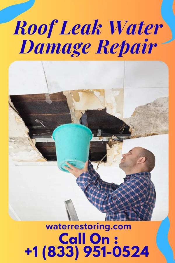 Roof Leak Water Damage Repair in Alpha, NJ